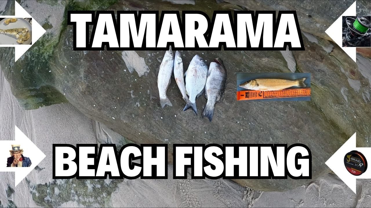 THE RUN DOWN about Suburban Beach Fishing - Tamarama