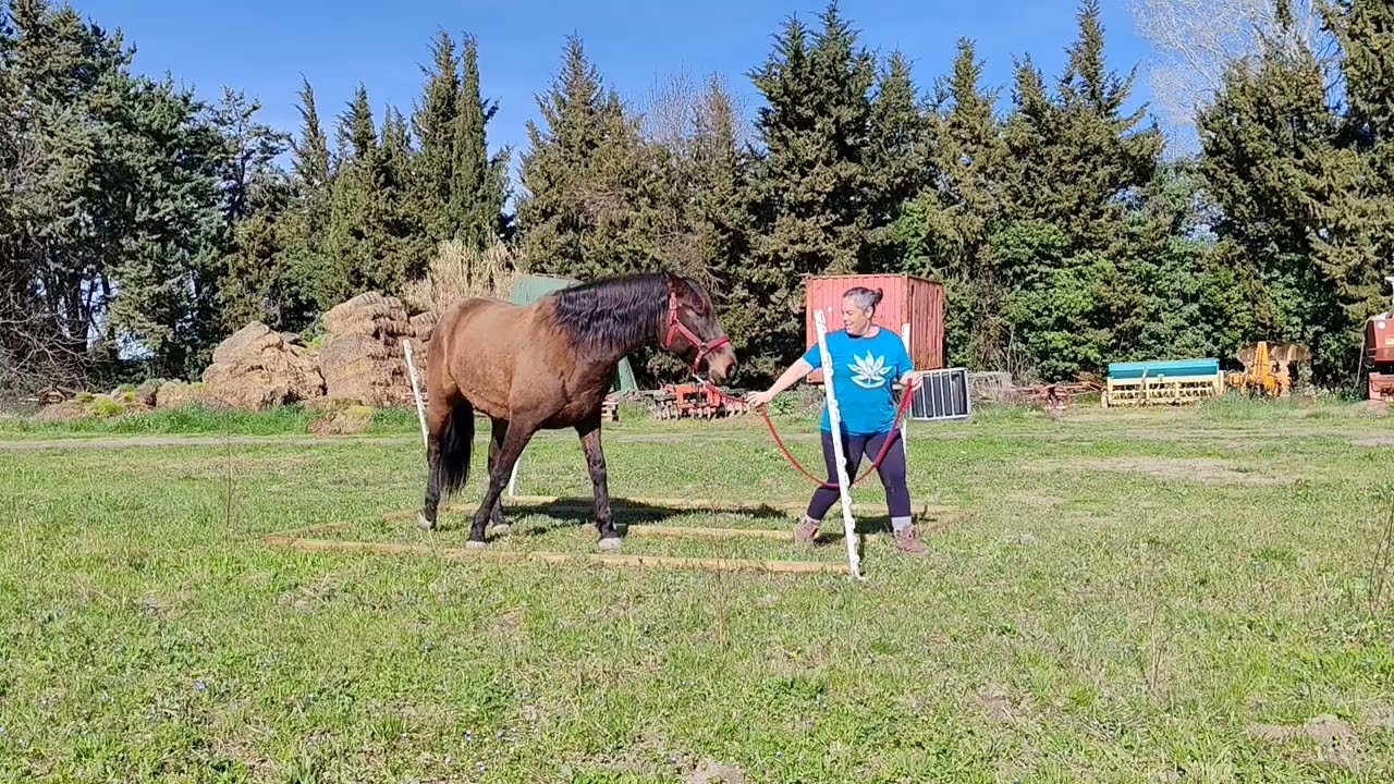 Entraînement mania TREC 💪🥰