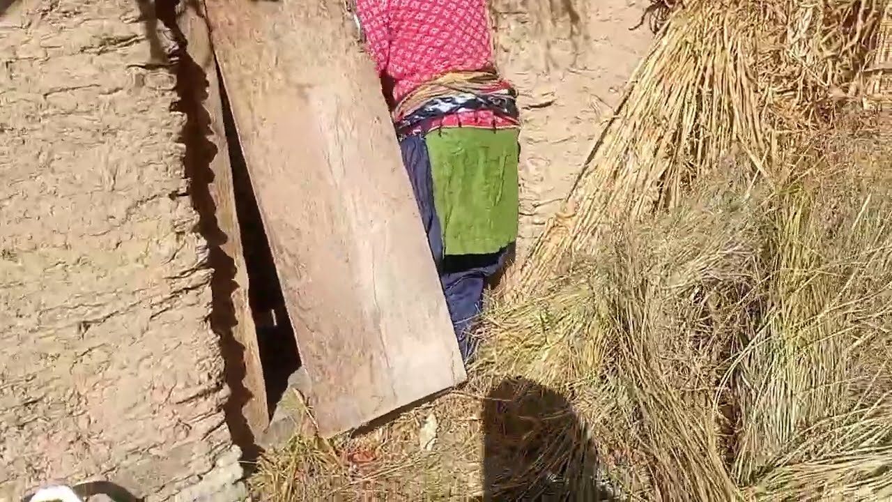 #happyholi #dosto #ऐसी होली किस किस ने देखा है #viralvideo #pahadi 