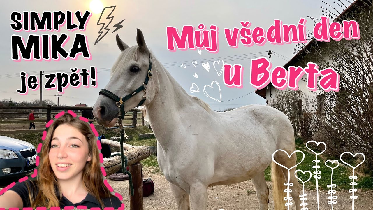 VELKÝ COMEBACK! // Můj všední den u Berta | MIKA