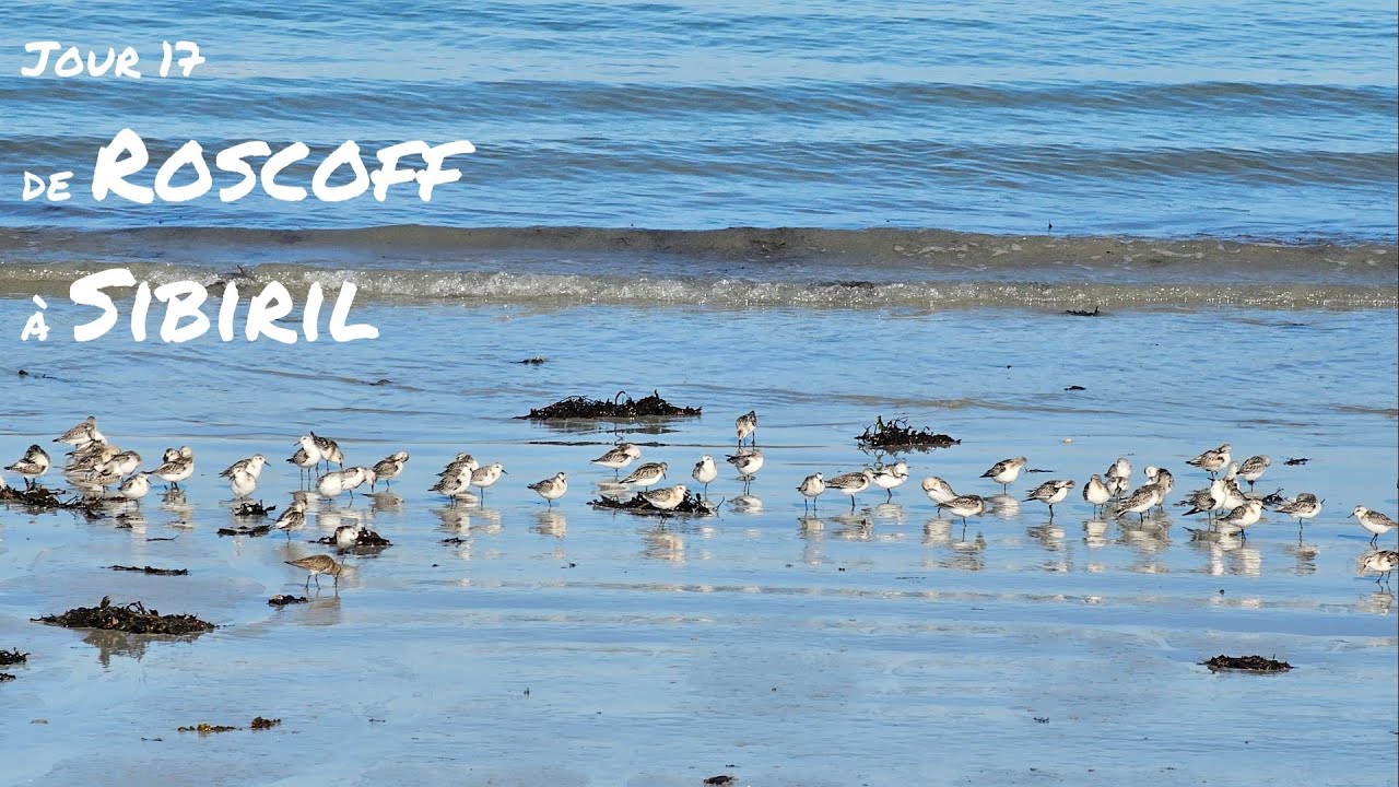 Mon GR34 , Saison 2 , Jour 17 : Roscoff - Sibiril