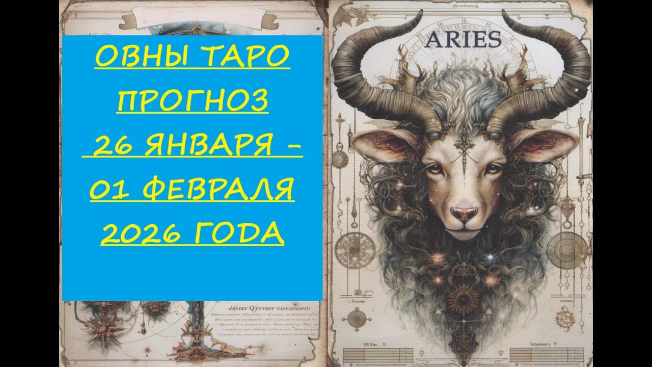 23 января 2026 г.