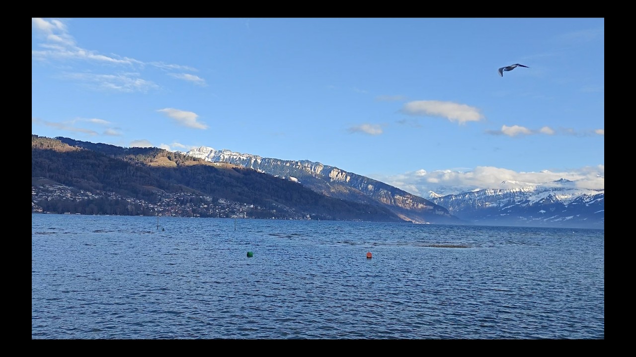 Lake Thun, 09 02 2026 | Swiss Outdoor Shots