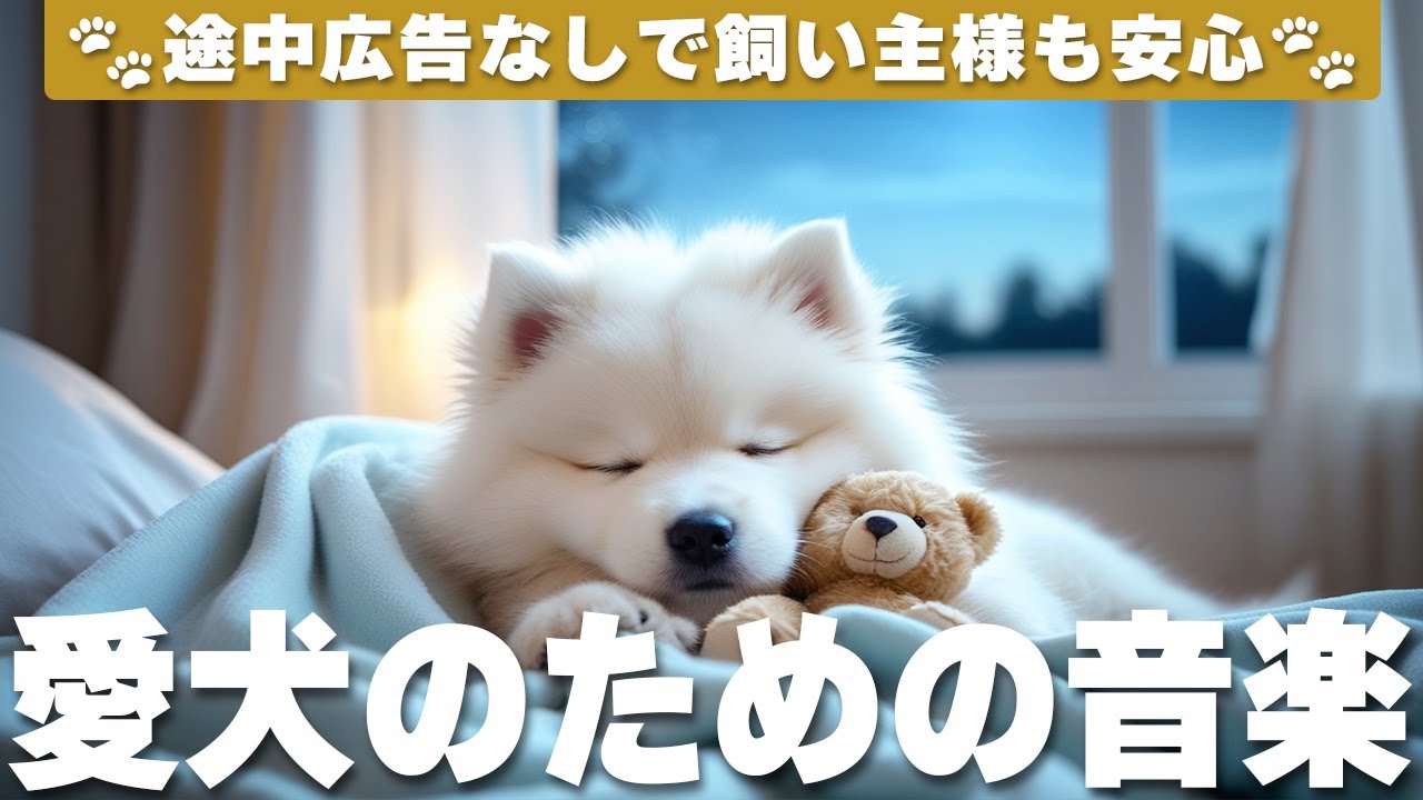 愛犬が落ち着く音楽 (12時間広告なし) 🐶 犬が寝る音楽 | 雷対策 / vol.822