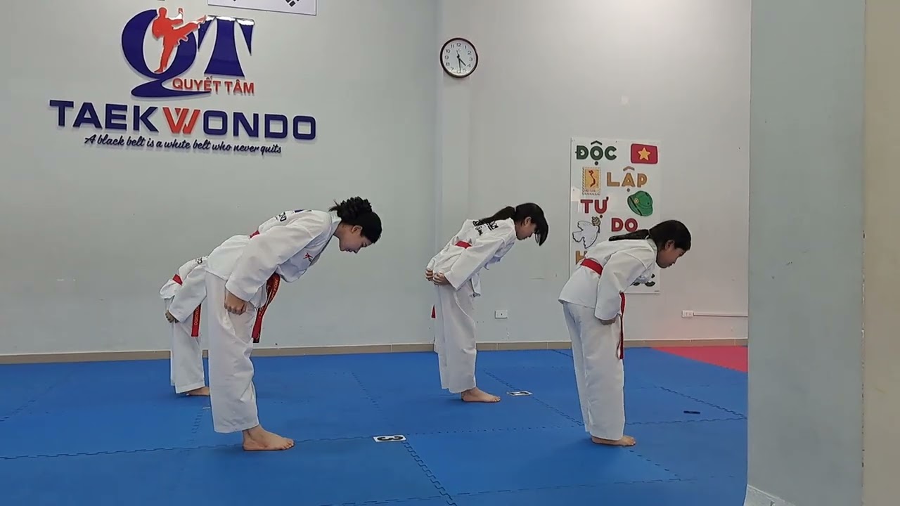 Gấu thi đai đỏ đẳng 2