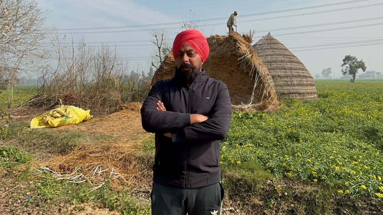 	ਭਰੀ ਤੂੜੀ ਤੇ ਭਾਰੀ ਬਾਰਿਸ਼ 🌧️ | Heavy Rain