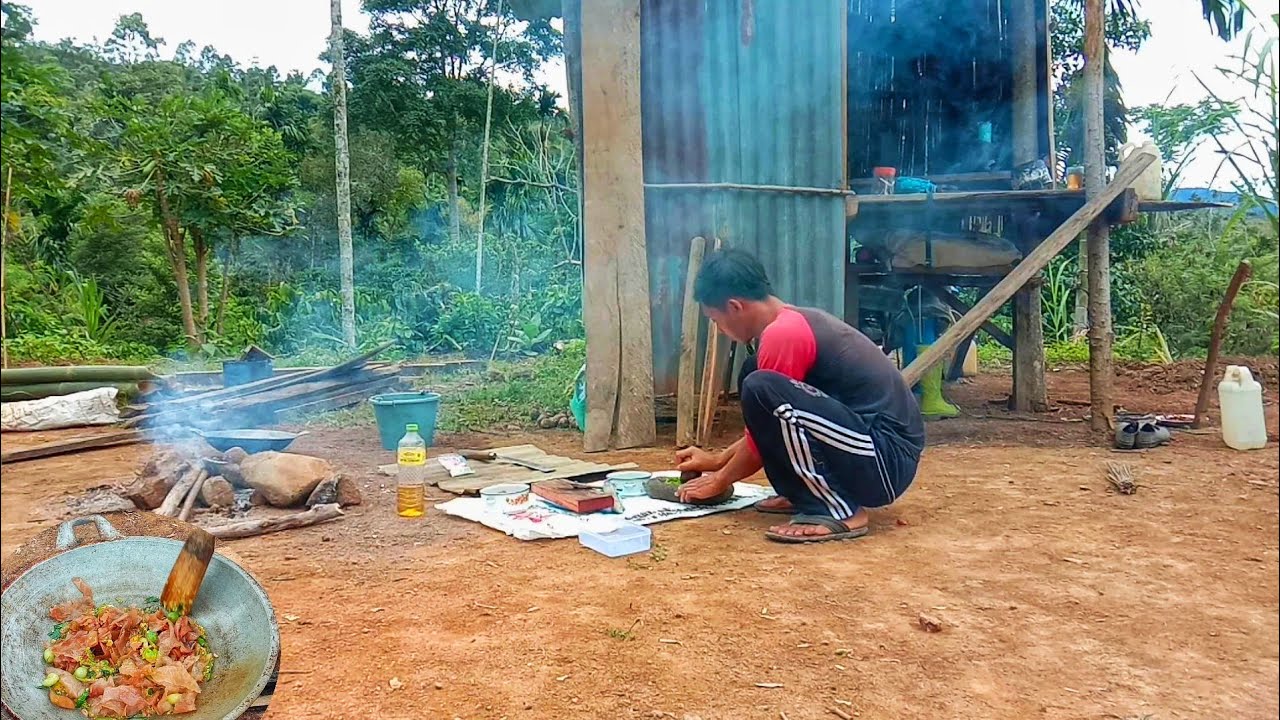 TAHAP PERTAMA, RENOVASI GUBUK, AMBIL BAMBU DI HUTAN, MENU MAKAN SIANG, SAMBEL JAMUR KUPING