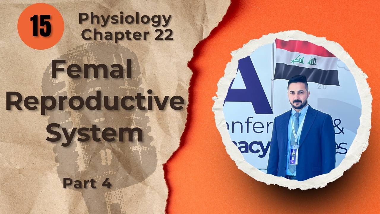 15. Female Reproductive System Chapter 22 Part 4 (فسلجة وزاري)