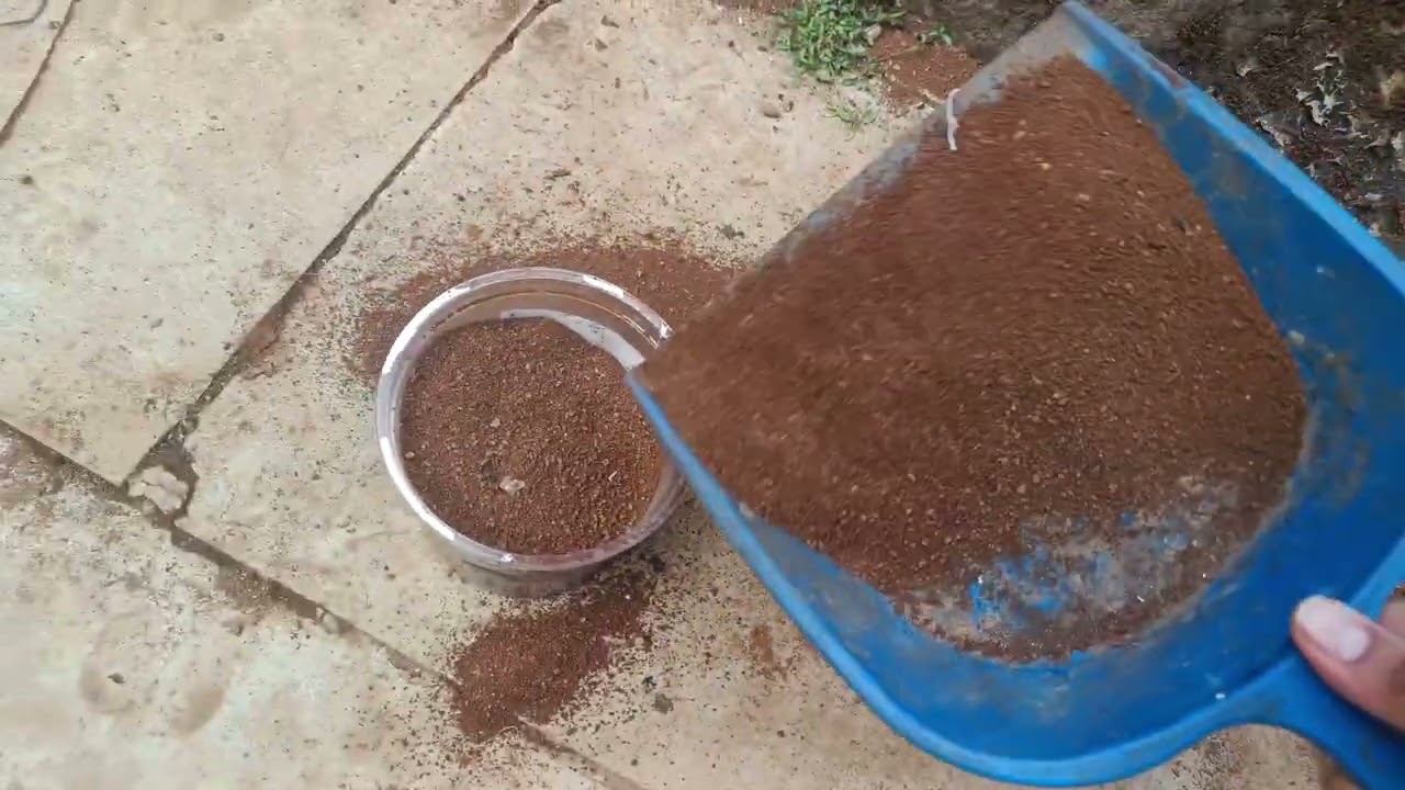 Main ne chintiyo ki mitti chura Li 🙌 #vlog #villagelife 