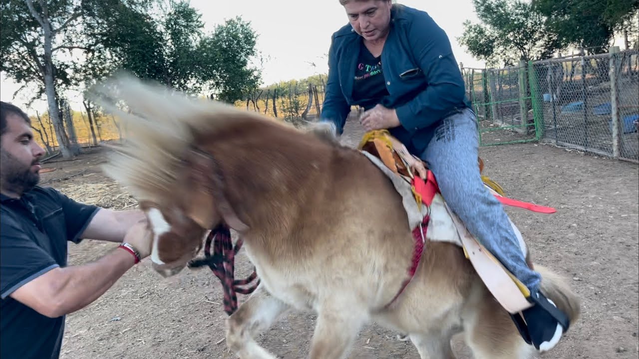 La silla | Jorge Leon