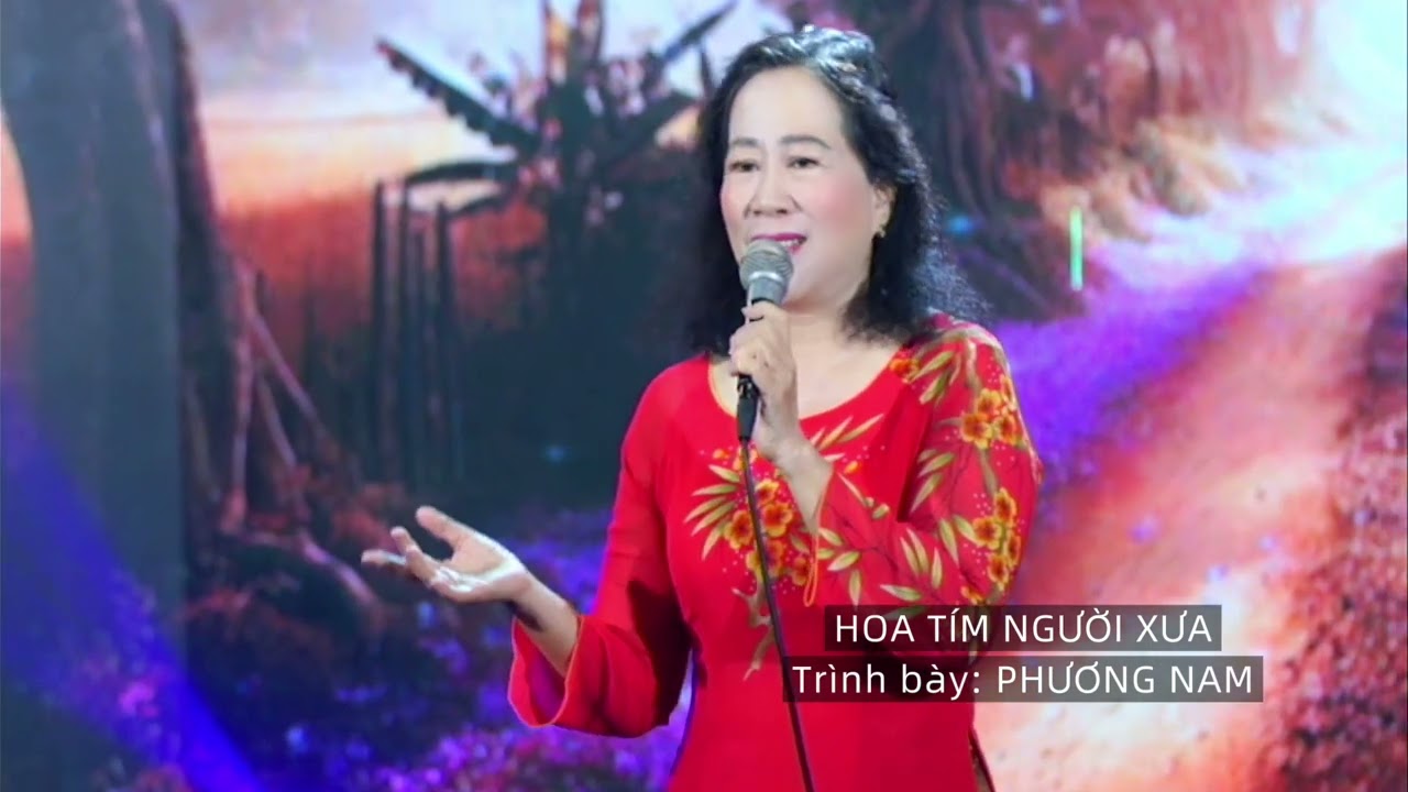 Phương Nam với ca khúc: Hoa Tím Người Xưa