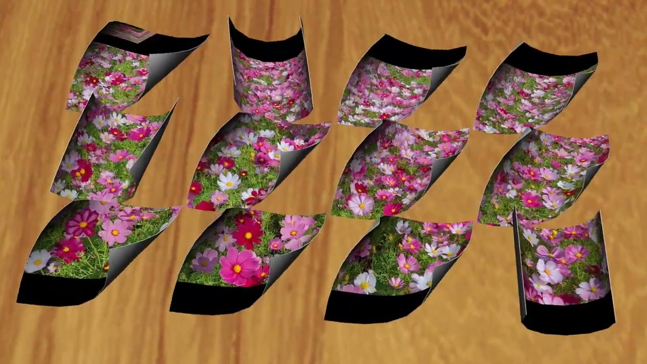 楊梅仙草&富岡公園