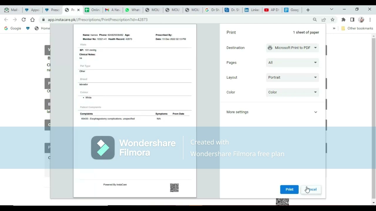 Instacare software for veterinary clinics