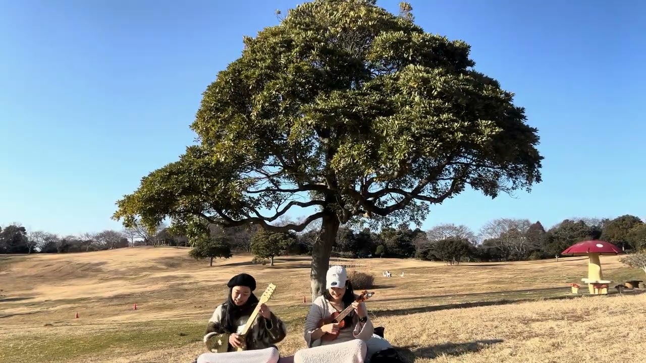 【Ukulele Meeting2026】Te Here （愛の讃歌）演奏Tamau