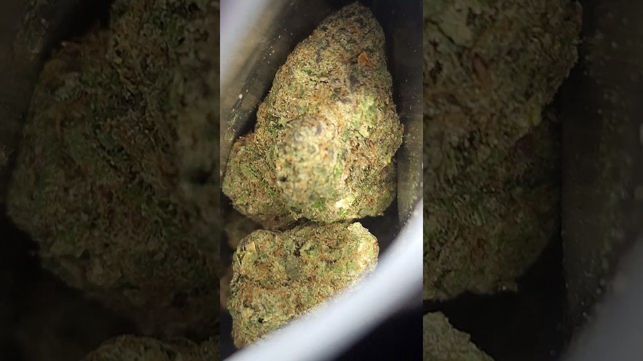 Strain: 2090 Sh*t