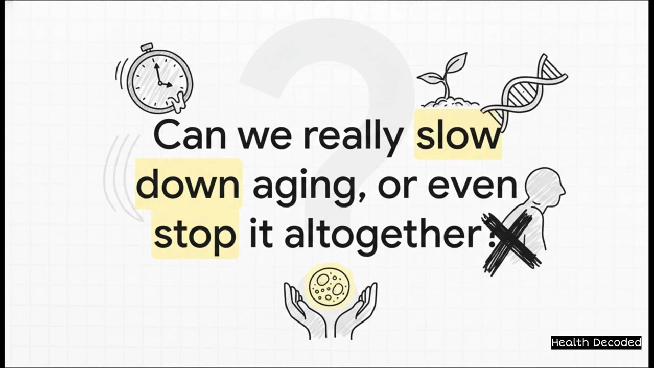 Can We Stop Aging? The Science of Living to 120 and Beyond