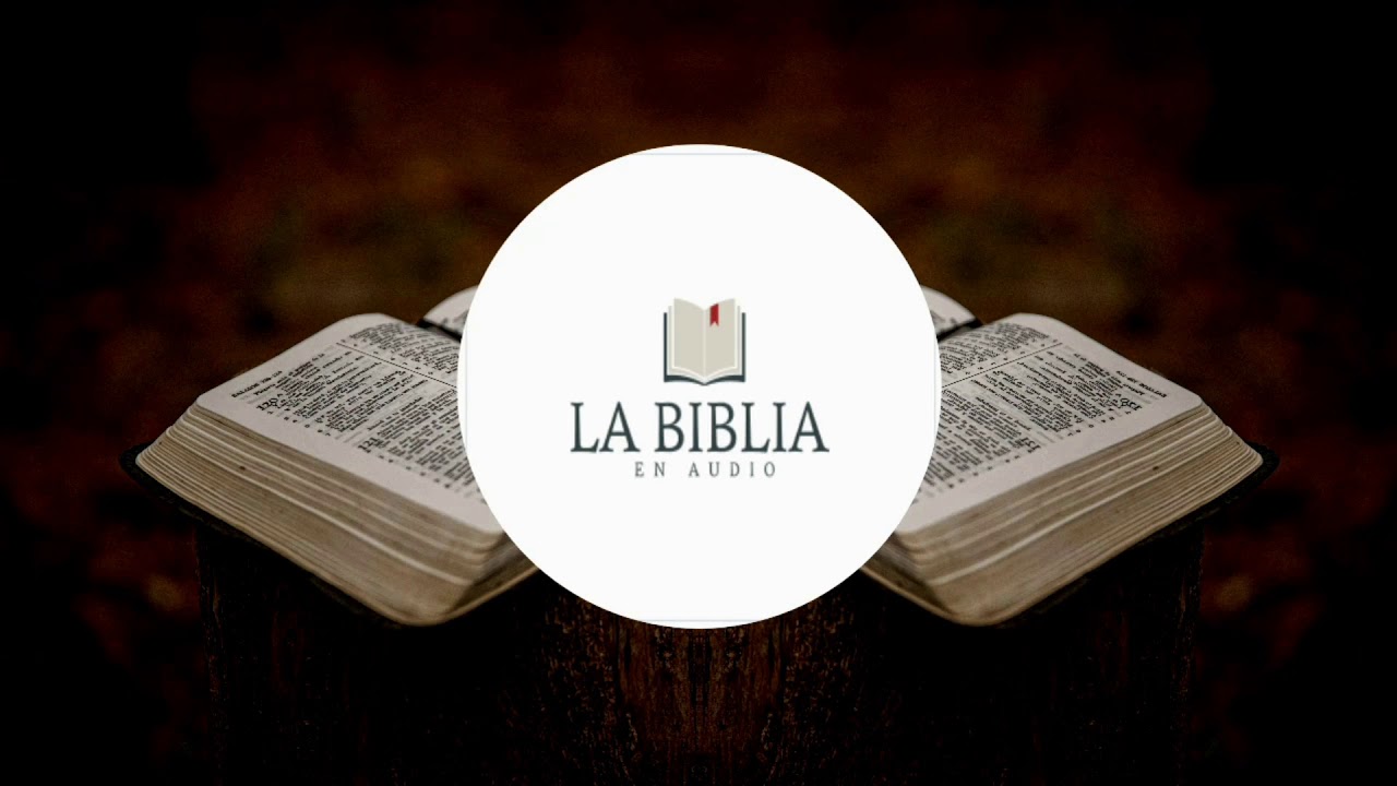 📖🔊ÉXODO: 16 /17/ 18/ 19 /20/🔊LA BIBLIA EN AUDIO[REINA VALERA 1960]🎶🔊