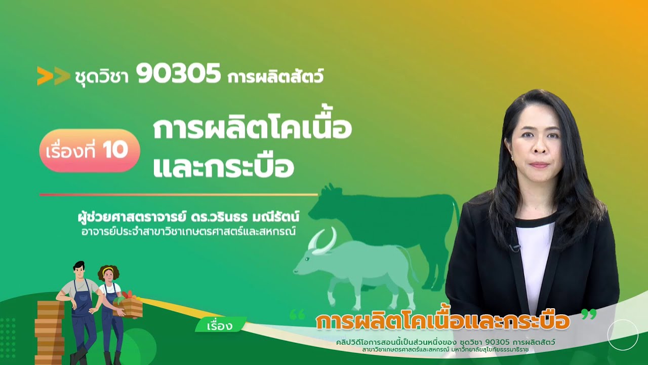 ◣มสธ.◢ 90305 รายการที่ 10 เรื่อง การผลิตโคเนื้อและกระบือ