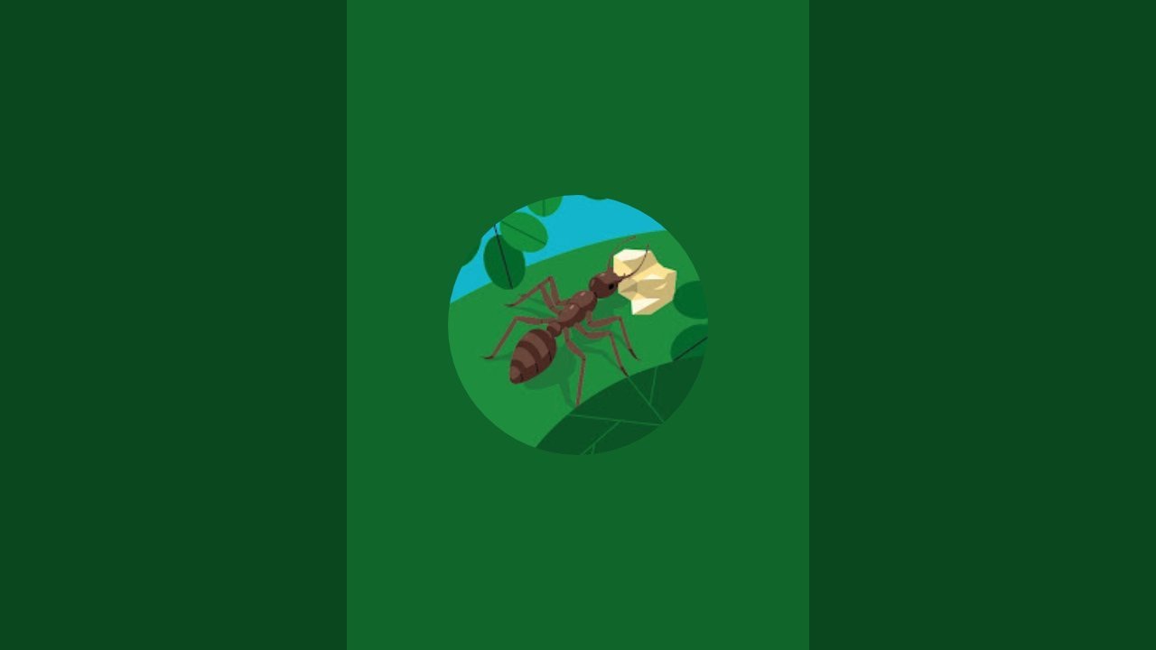 Gujarati Shorts97 is live!