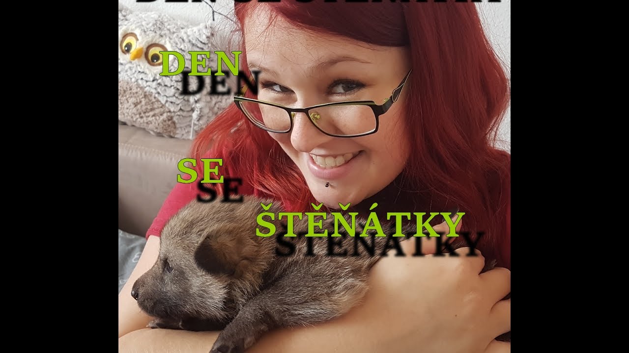 Československý vlčák - Den  se štěňátky