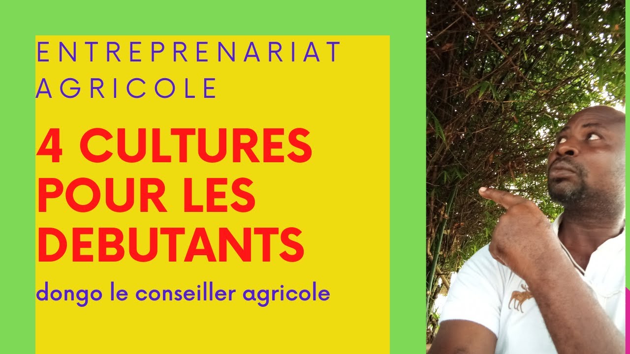 ENTREPRENARIAT MARAICHER: Ces 4 cultures pour être millionnaire 45 jours