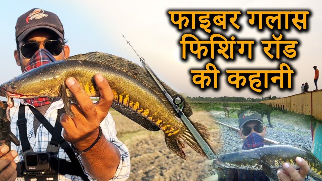 Fiberglass Fishing Rod | Cheap & best rod for snakehead fishing | Crocodile fishing rod |  Solid rod