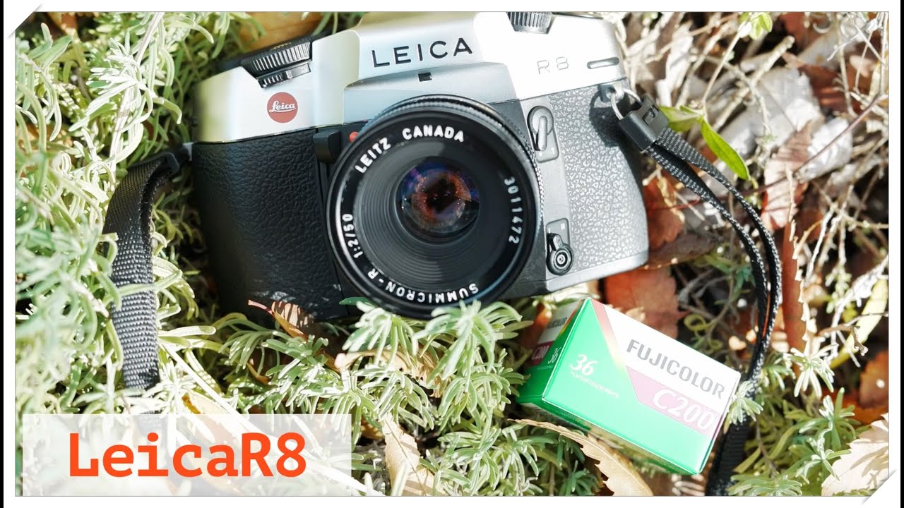 Leica R8 Film Photography #FUJICOLOR C200