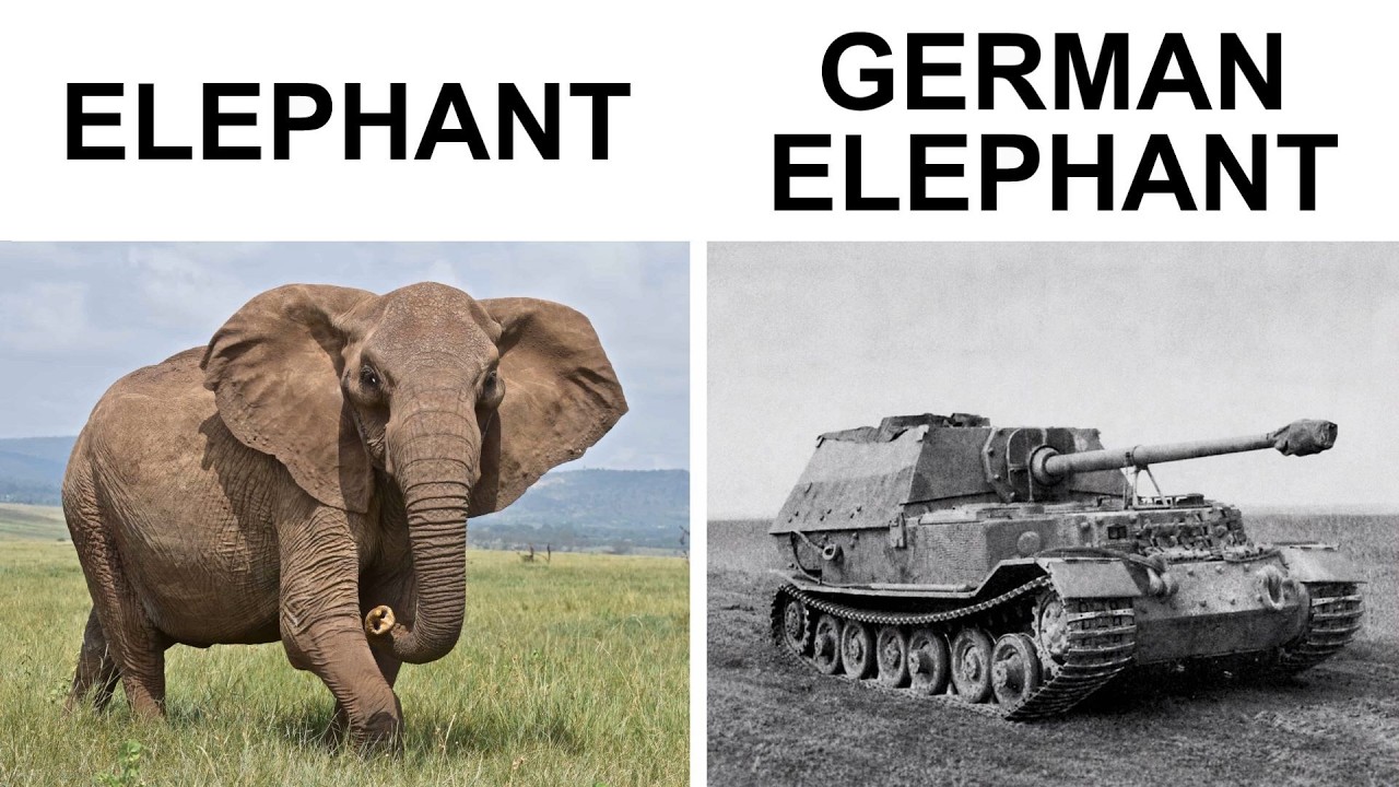 BEST of TANK MEMES