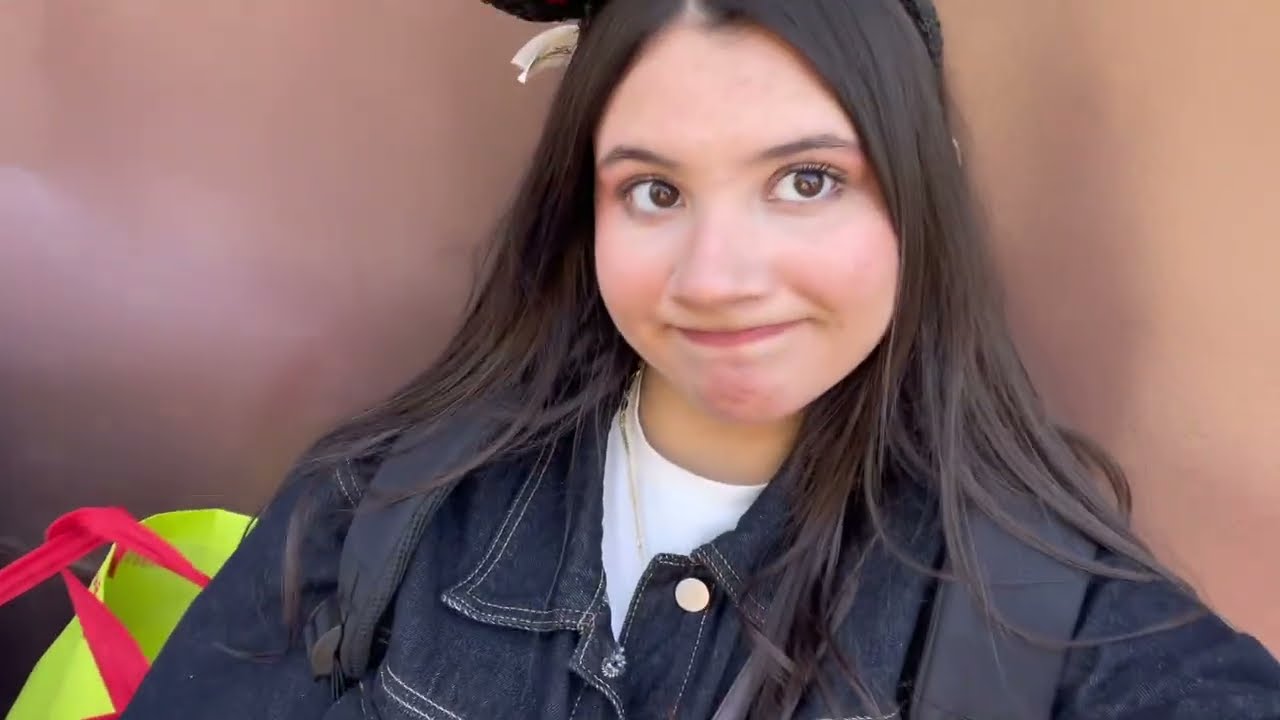 vlog disney parte 2 