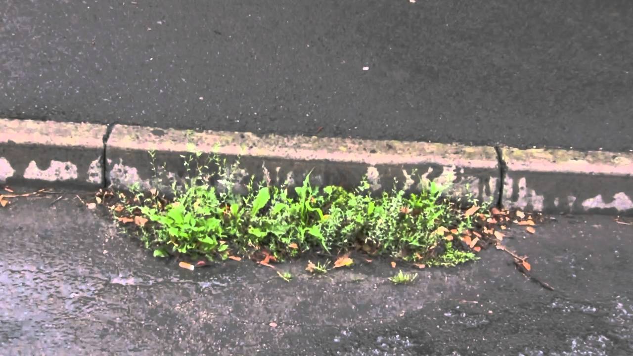 Road sweeping vehicle in Thornbury