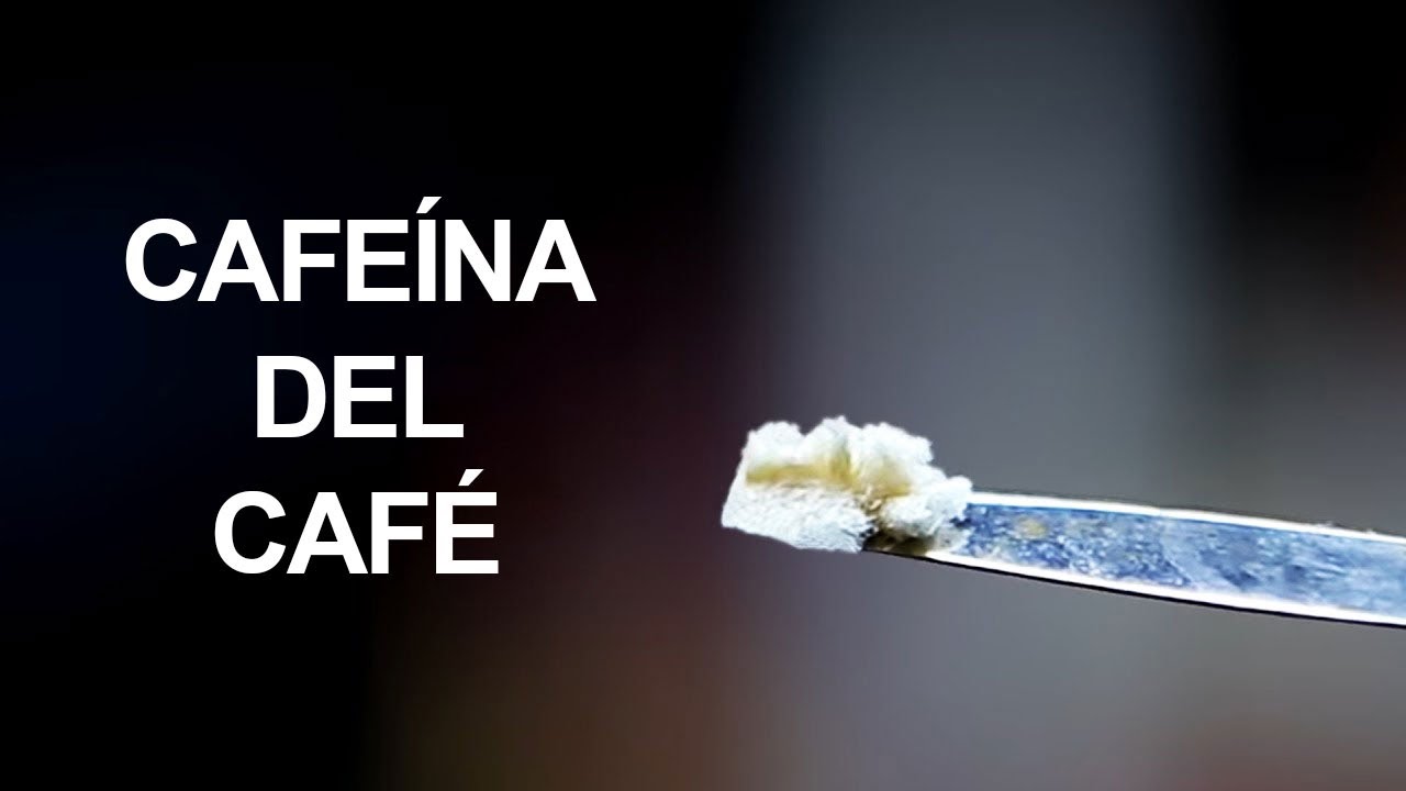 Extrayendo cafeína del café
