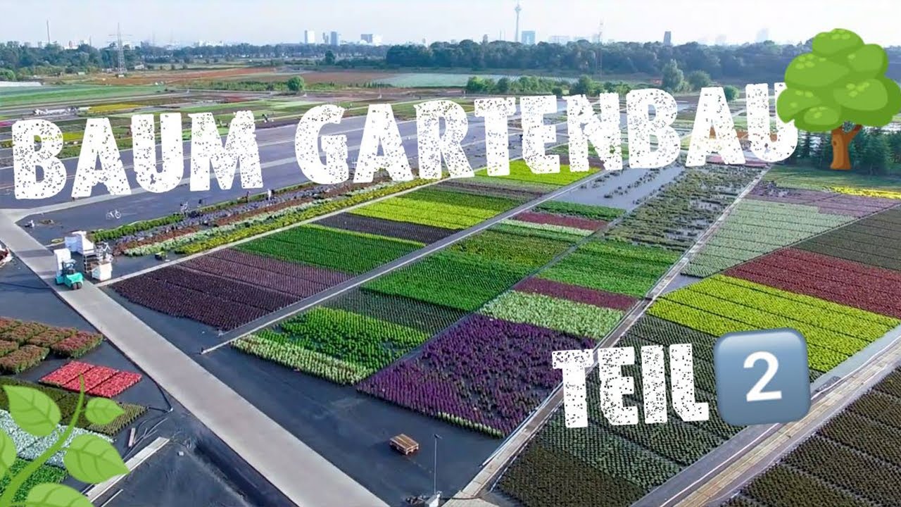 Baum Gartenbau // Teil 2 // GreenPerspective
