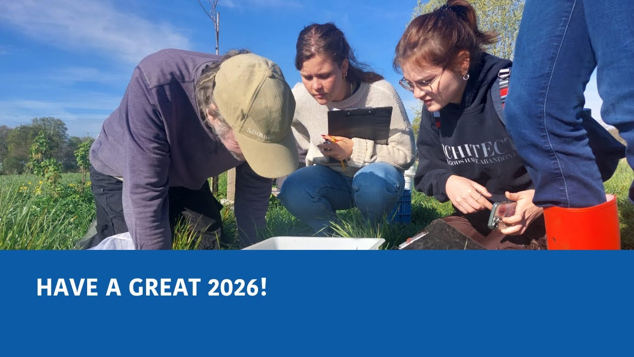 Have a great 2026!