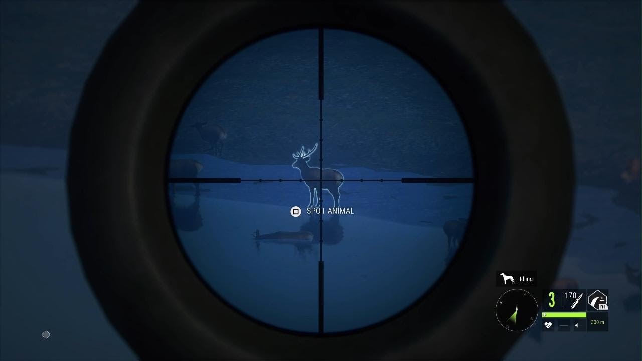 theHunter: Call of the Wild red deer hunt