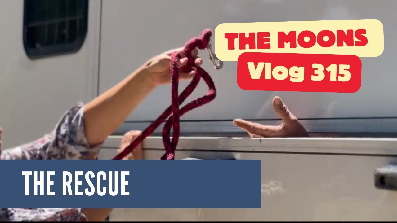 A Journey of Kindness: Discover Who We Rescued Today!