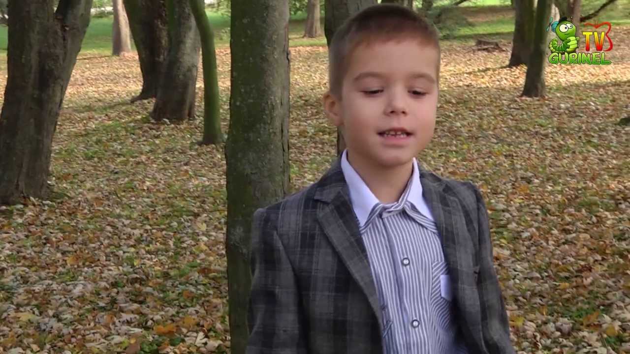 Daniel Secrieru - Maicuta mea