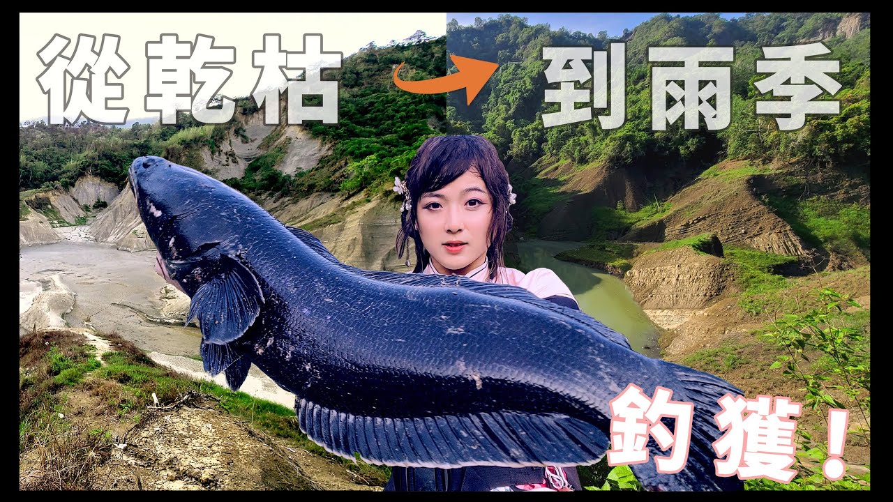 【追尋米虎ep2】從水量4%釣到25%，不斷爬山就是為了釣一隻虎! #魚虎 #路亞釣魚 #蘋果妮