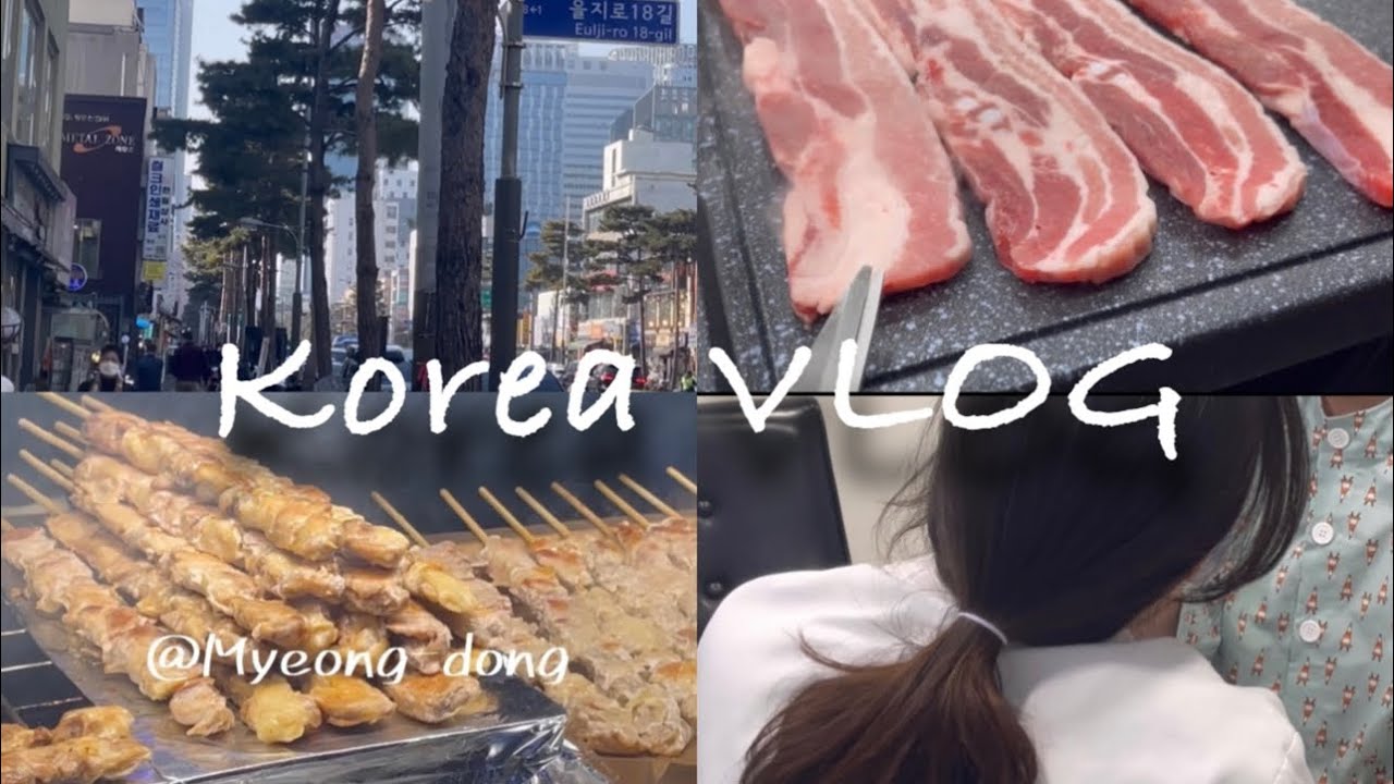 【韓国vlog🇰🇷】ECLIPSE &ARTEMIS合同【社員旅行】
