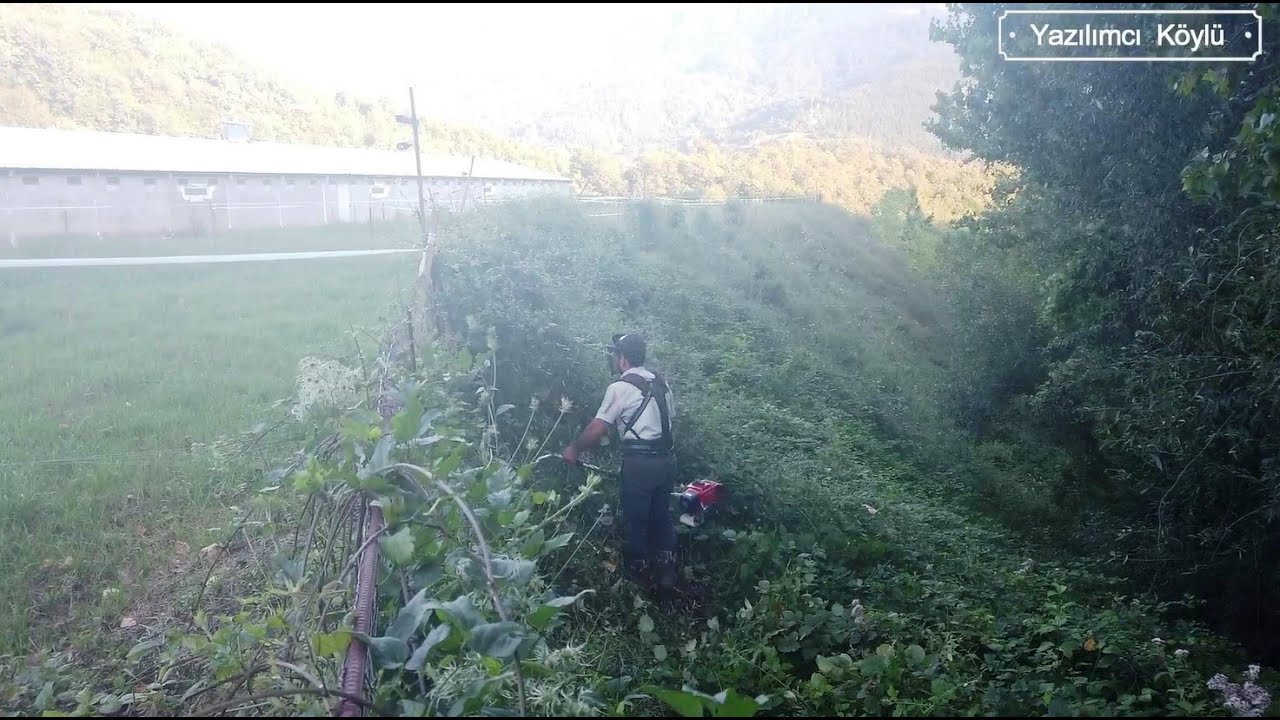 Dik Yamaçlarda Motorlu Tırpan ile Diken ve Sarmaşık Temizliği. Son Tırpan Bükücü :)