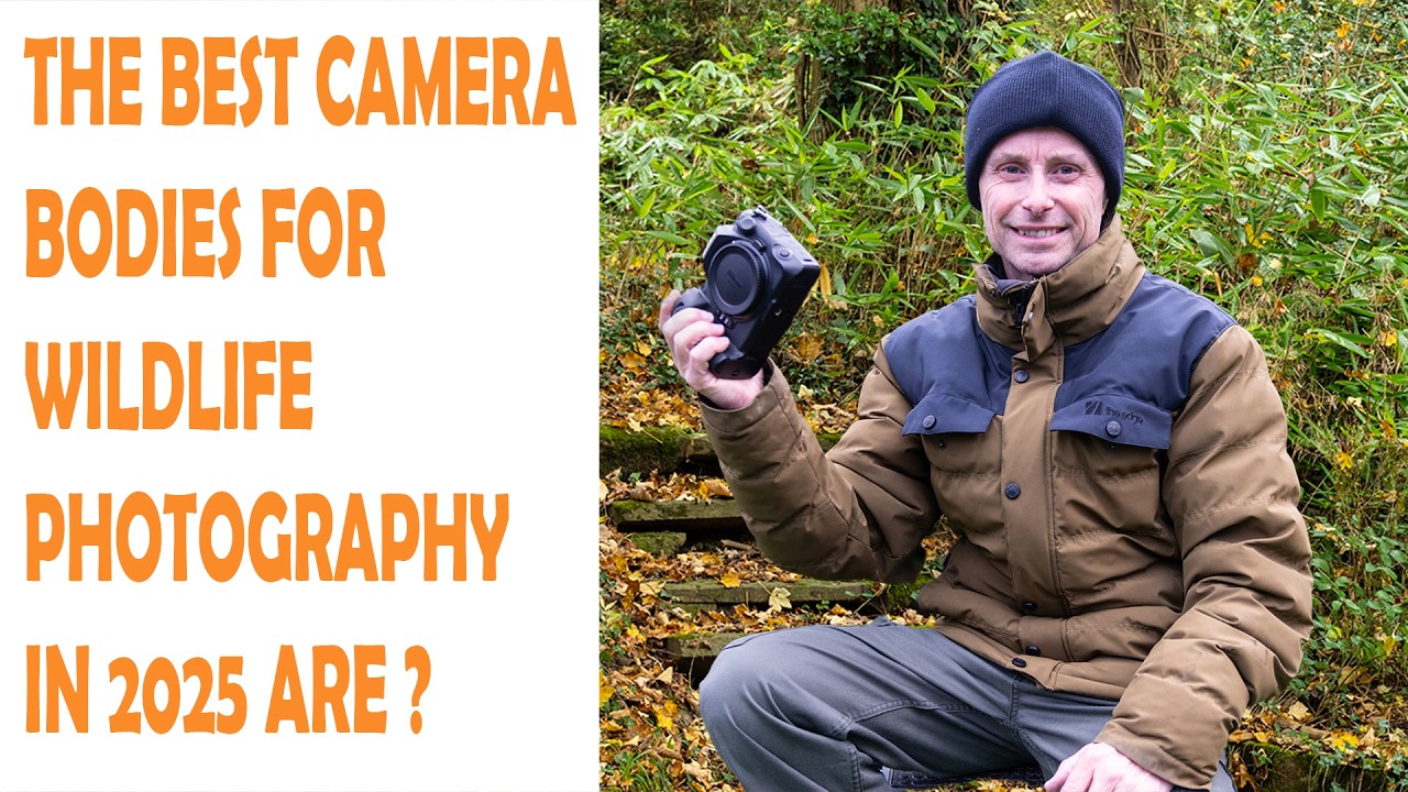 THE BEST CAMERA BODIES FOR WILDLIFE PHOTOGRAPHY IN 2025 ARE-MY THOUGHTS