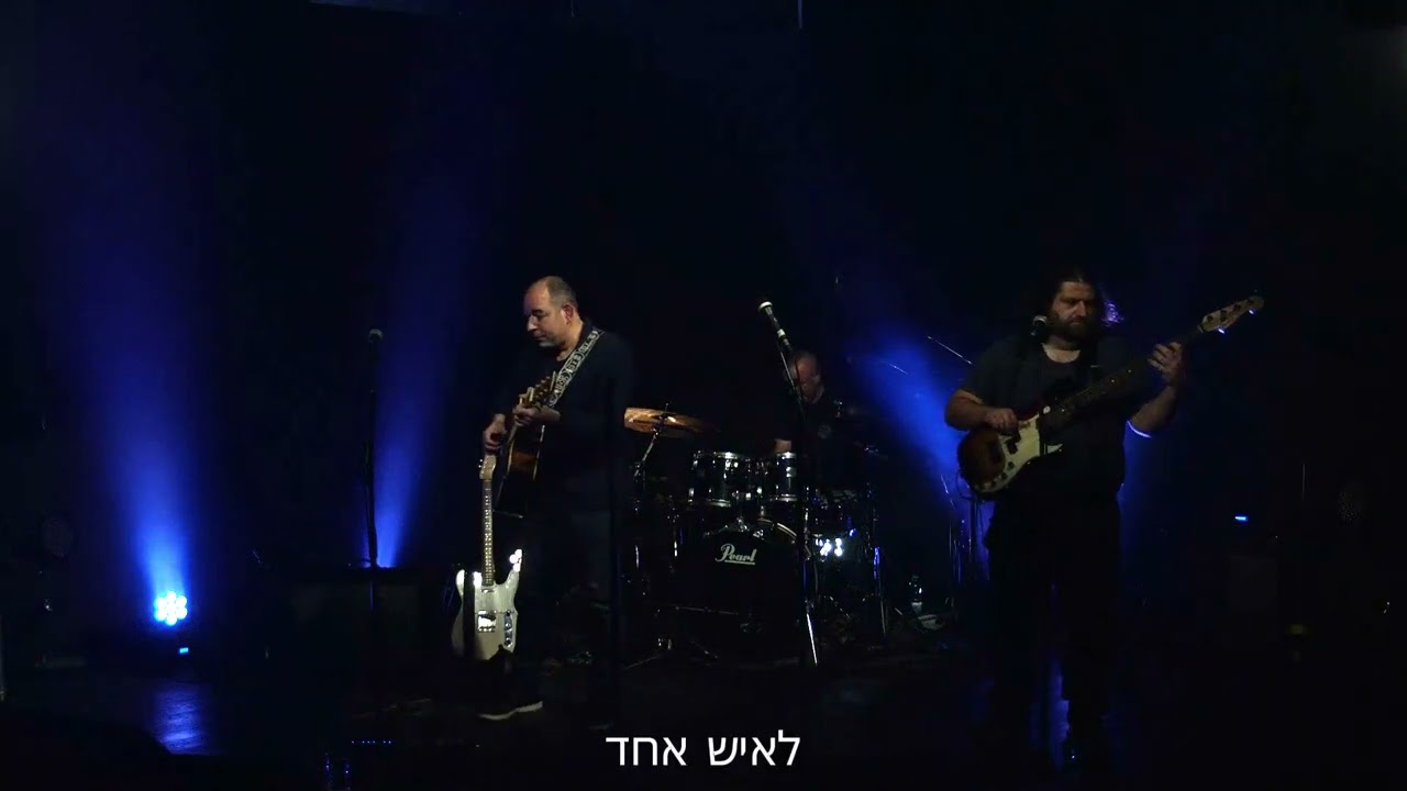 חתול על מדשאה