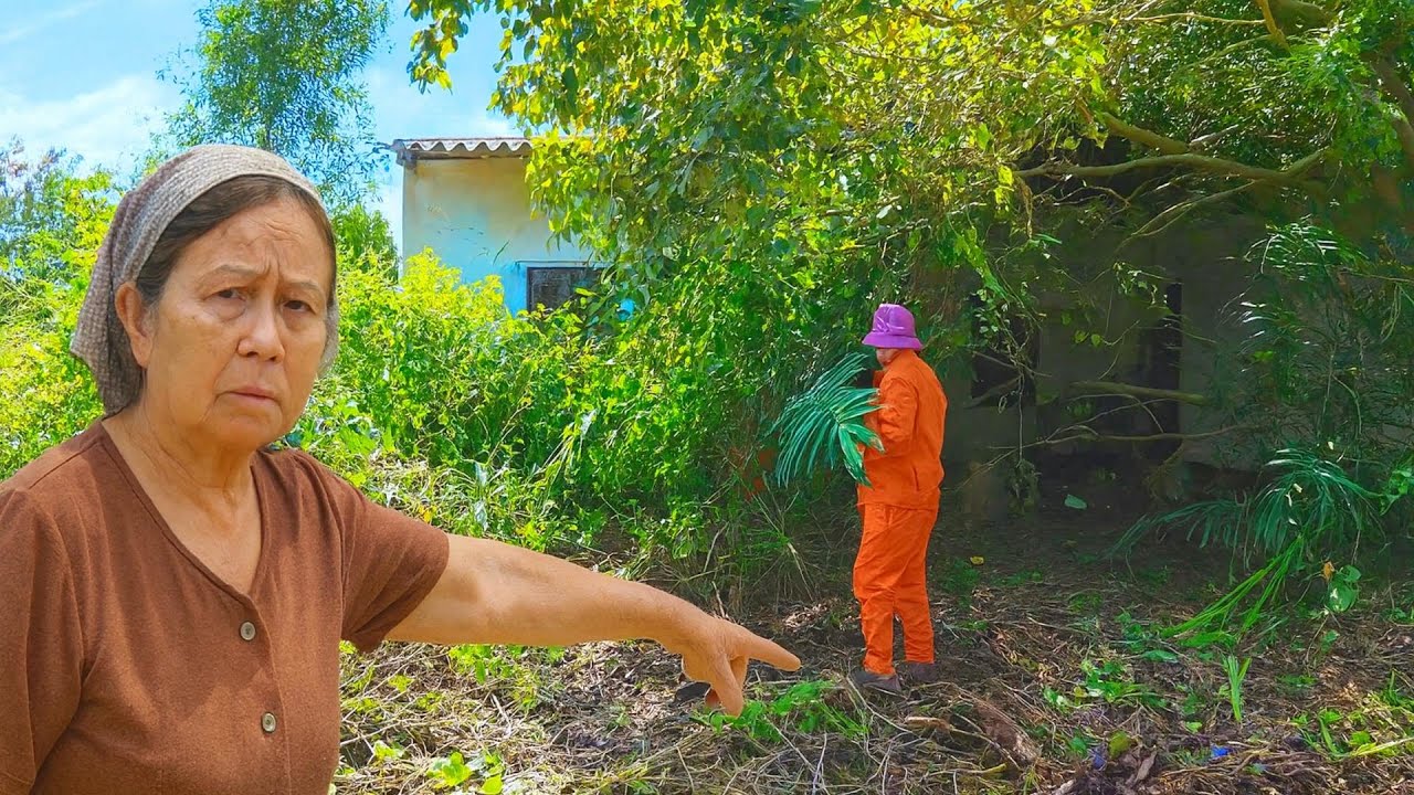 Ngôi Nhà Bị Thời Gian Quên Lãng  - Và Điều Gì Đã Khiến Hàng Xóm Hoảng Hốt