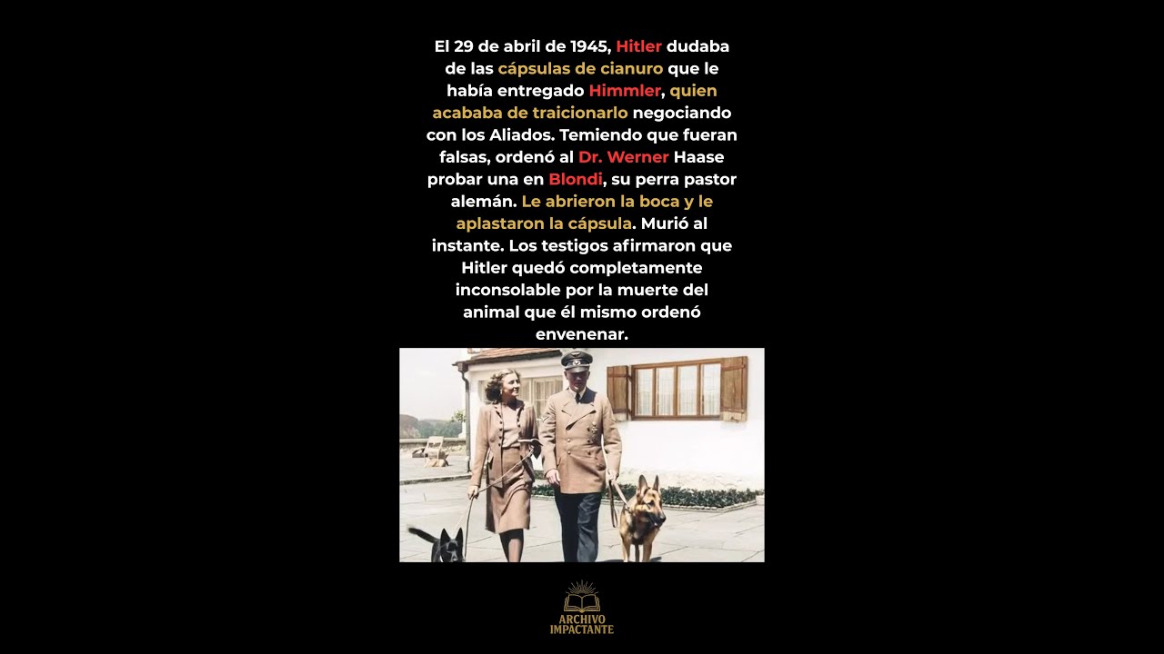 Hitler envenen&oacute; a lo &uacute;nico que amaba #WW2 #Historia