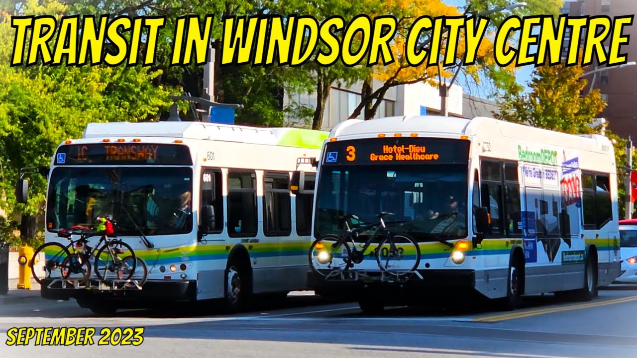 Transit in Windsor City Centre (September 2023)