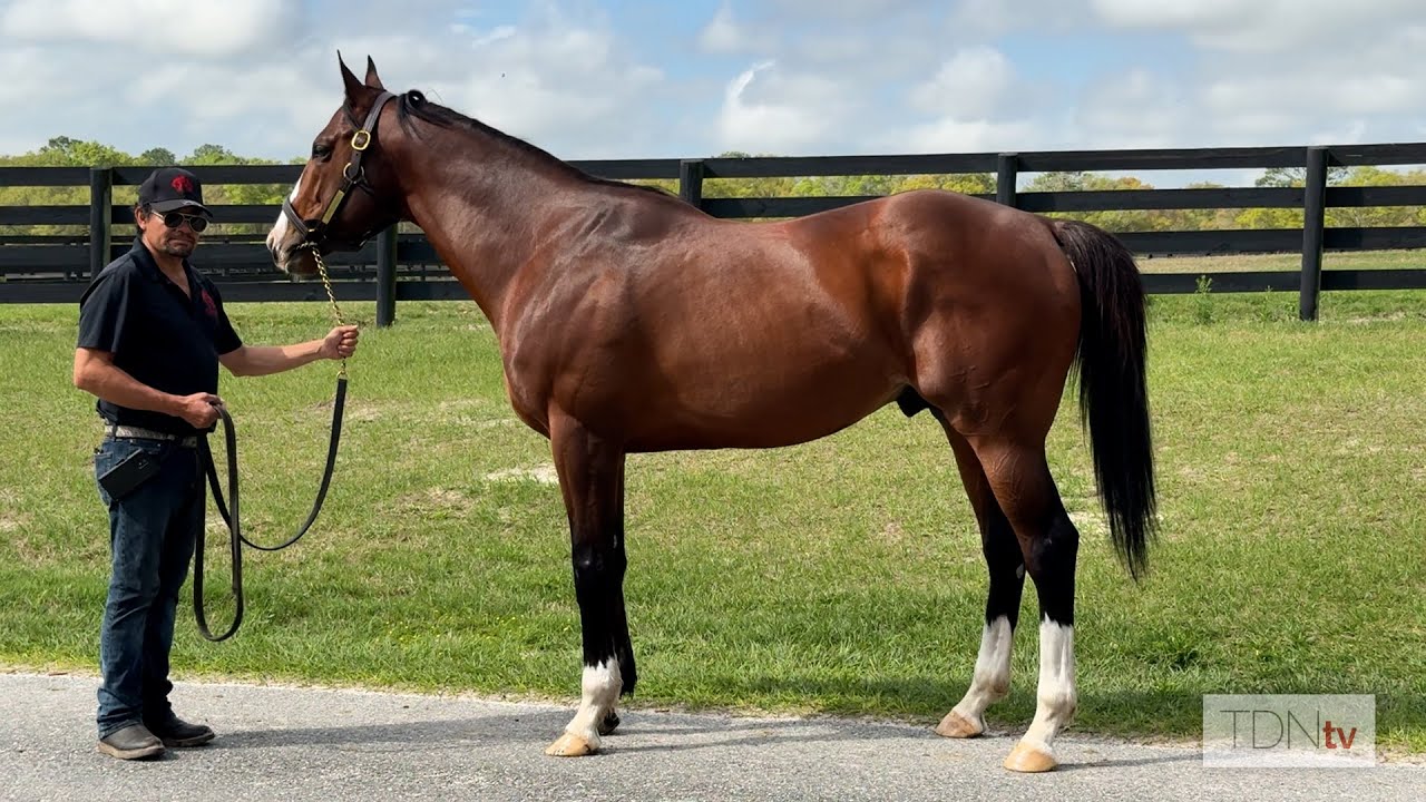 Pleasant Acres Stallions Welcomes Four Promising Newcomers