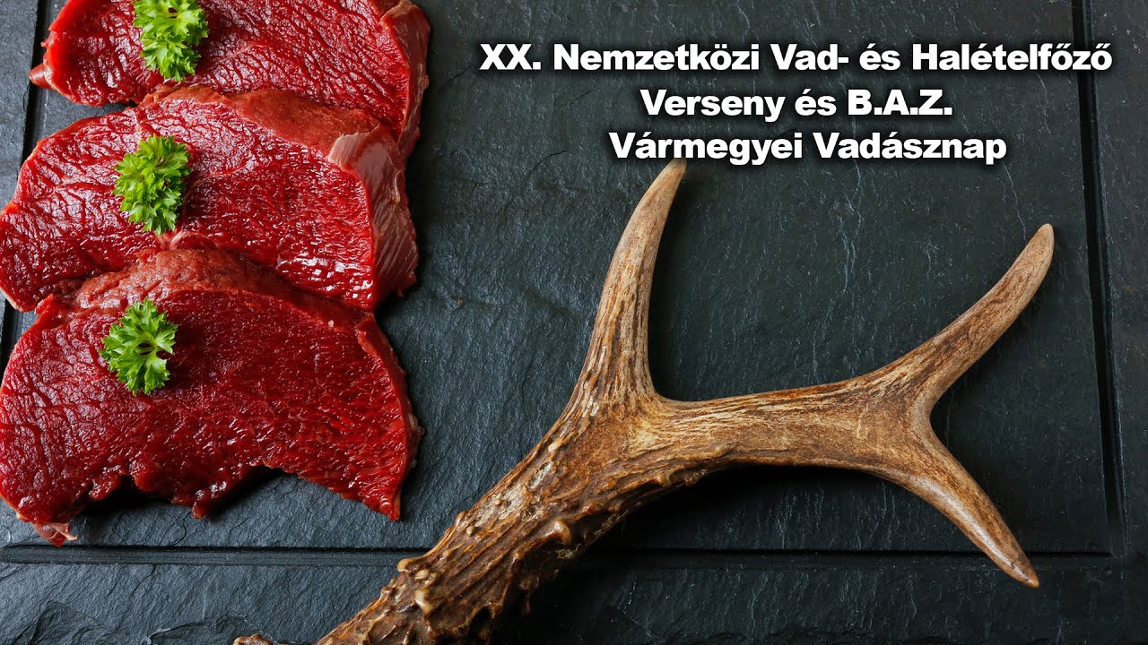Sátoraljaújhely-Széphalmon XX. Nemzetközi Vad- és Halételfőző Verseny és B.A.Z. Vármegyei Vadásznap
