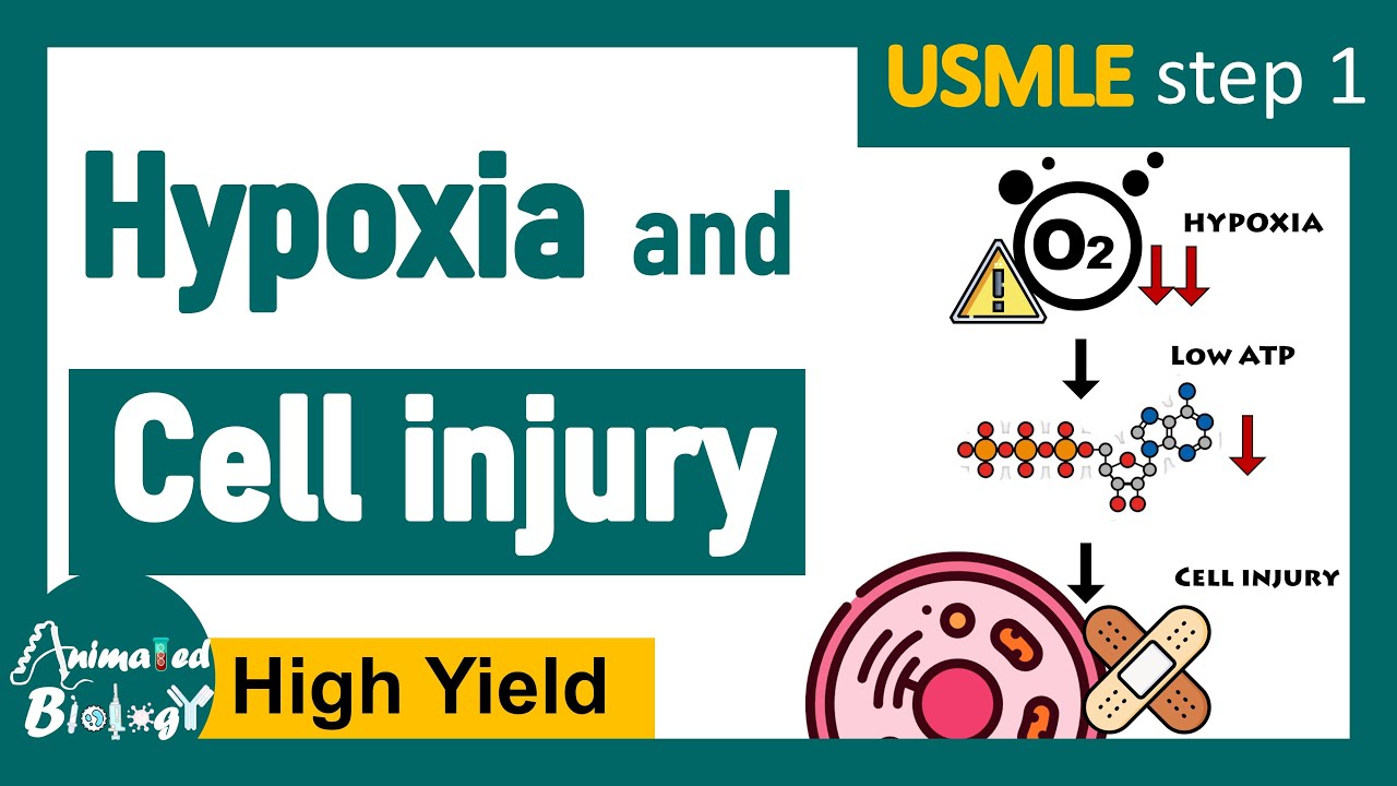Hypoxia and cell injury | Hypoxia and Cell Injury Explained under 10min| Cause, Mechanisms & Effects