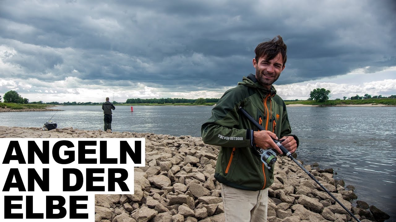 ANGELN AN DER ELBE MIT ANDY PELAJ & NORMAN KROGOLL / ZIELFISCH ZANDER
