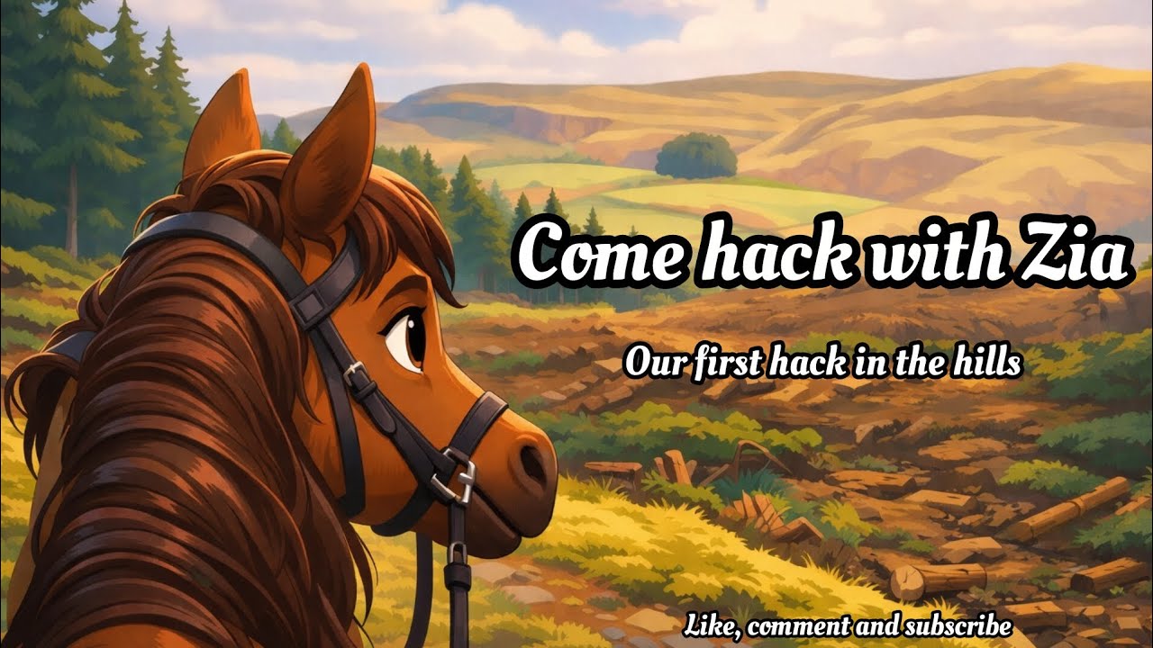 Our first hack in the hills