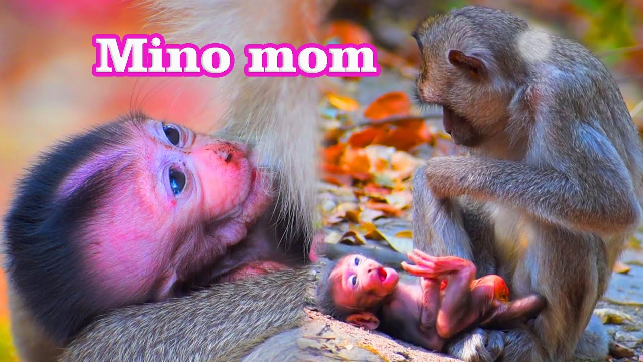 A lovely mom tries to examine her adorable baby after drinking milk